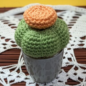 Crocheted Cactus with pot, Amigurumi plushie Cactus. Housewarming gift, Homedecor, Desk plant. Small size. Ready to ship worldwide image 7