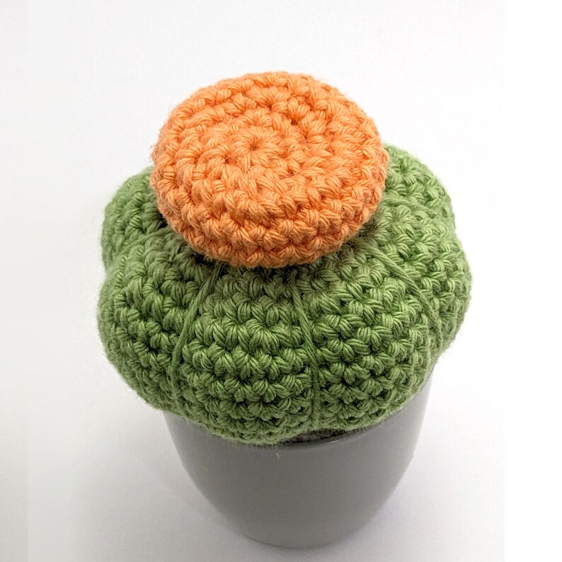 Crocheted Cactus with pot, Amigurumi plushie Cactus. Housewarming gift, Homedecor, Desk plant. Small size. Ready to ship worldwide image 2