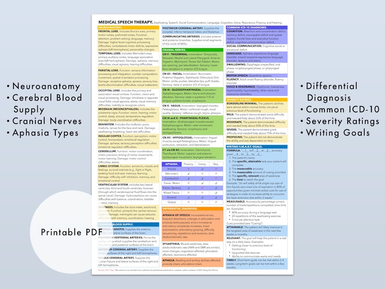 Medical SLP Reference Chart Instant Download Adult Speech image 2