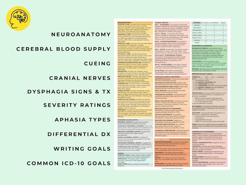 May include: A colorful chart with the title "Neuroanatomy" and other related terms like "Cerebral Blood Supply", "Cranial Nerves", "Dysphagia Signs & Tx", "Aphasia Types", "Differential Dx", "Writing Goals", and "Common ICD-10 Goals".