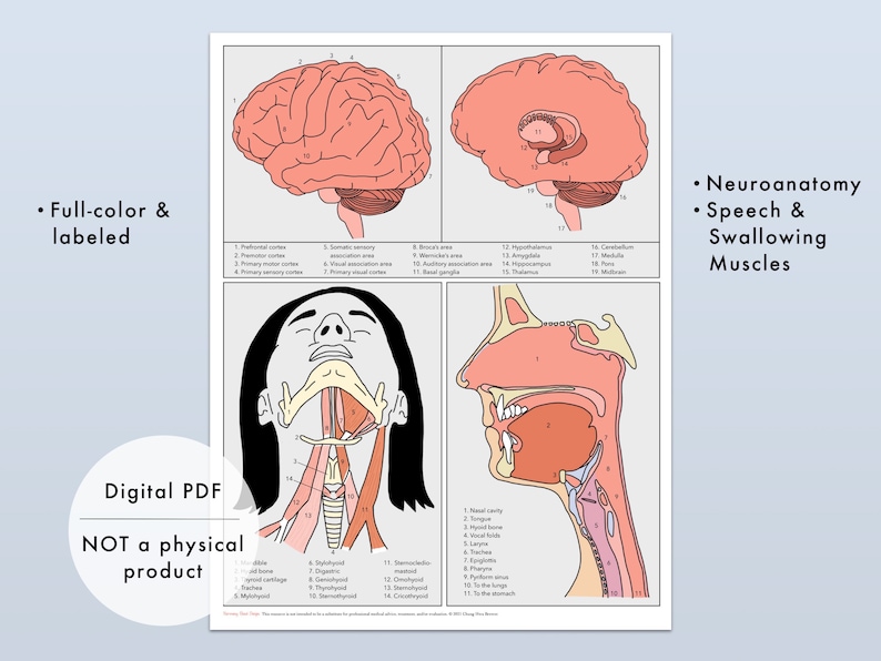 speech meaning in medical