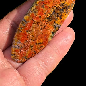 Pianta naturale come cabochon di agata pennacchio Agata di muschio di alta qualità con scena incredibile