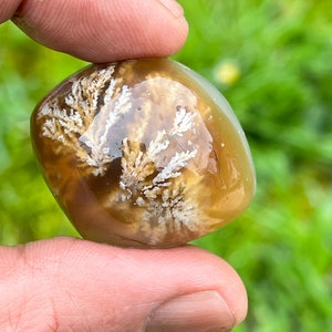 Pietra preziosa naturale di agata piumata, Pietre per la creazione di gioielli, Campione di agata, Cabochon di agata.