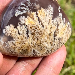 Raro cabochon di agata piumata naturale Agata muschiata di alta qualità e agata unica con una scena straordinaria