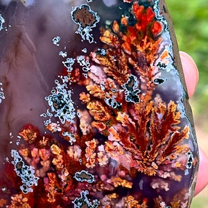 Natural Plume Agate Rough Slab, Top Quality, Colourful,Agate Specimen,100% Natural.