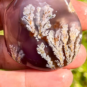 Natuurlijke meerkleurige pluim agaat cabochon, 100% natuurlijk.