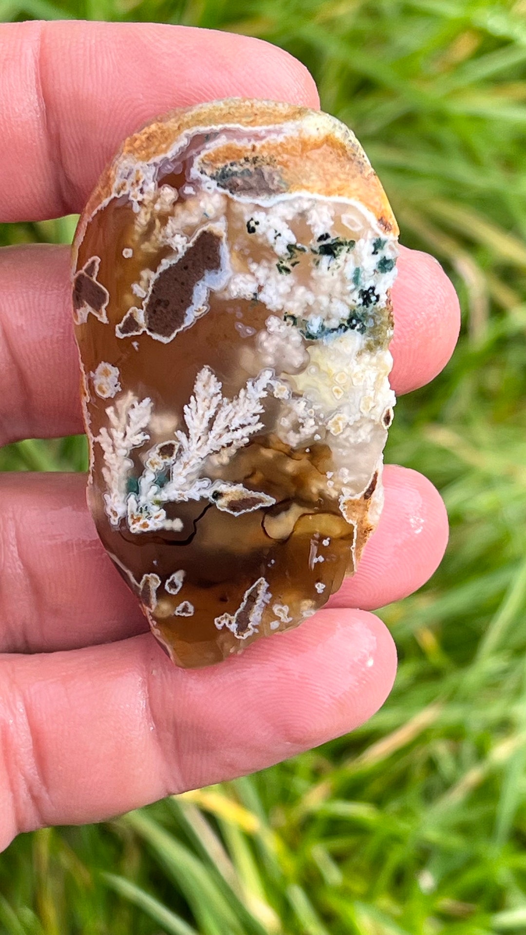 Unique Natural Plume Agate Stone Stunning Patterns and Etsy