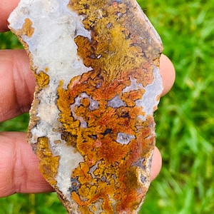 Peut inclure: Gros plan sur une pierre d'agate polie avec un motif dendritique blanc, orange et brun. La pierre est de forme irrégulière et a une surface lisse et polie.