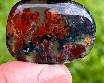 May include: A smooth, oval-shaped, translucent agate stone with a dendritic pattern of red, orange, and green. The stone is held in a hand.
