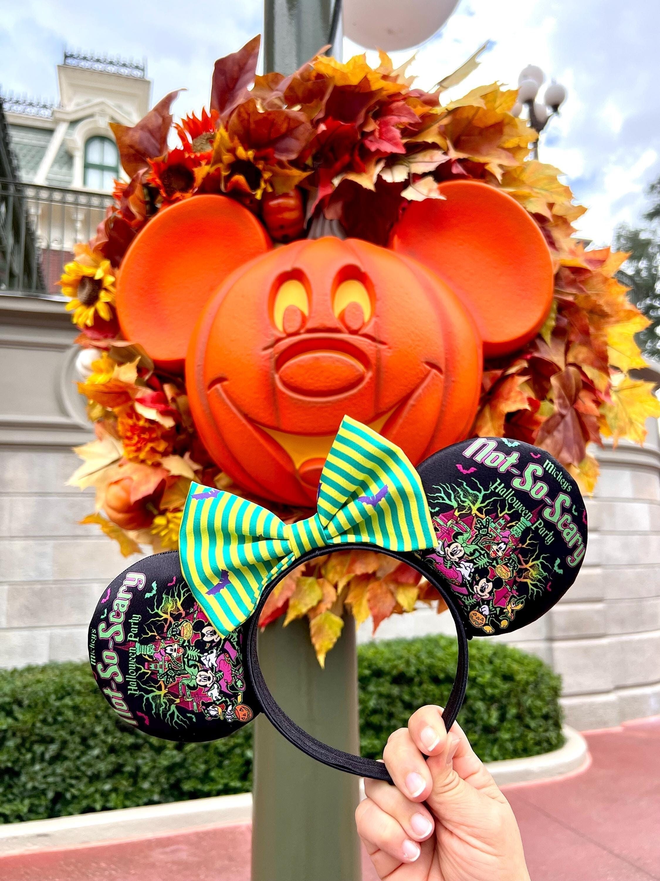 Mickey display picture 3