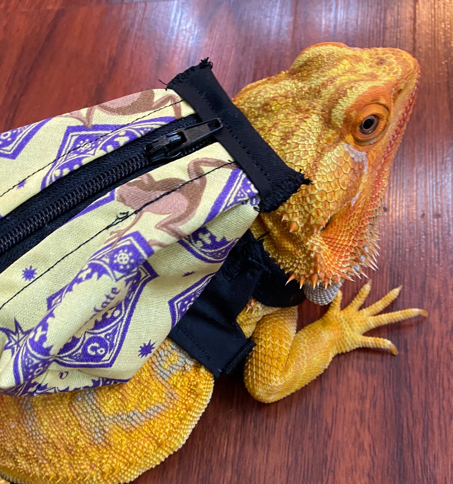 BP11 Bearded Dragon BackPack for Key Finders Etsy