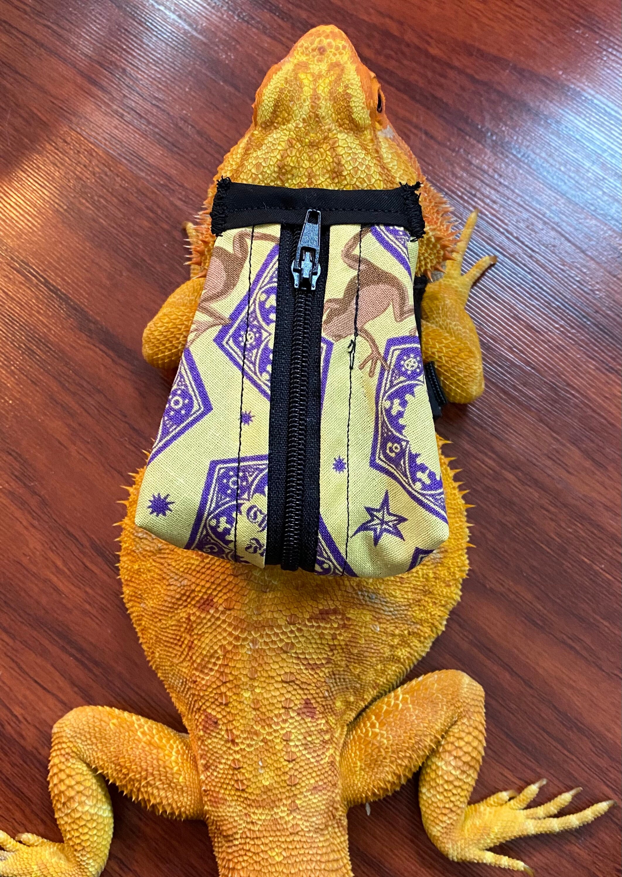 BP17 Bearded Dragon BackPack for Key Finders Etsy