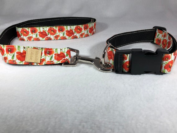 poppy dog collar and lead