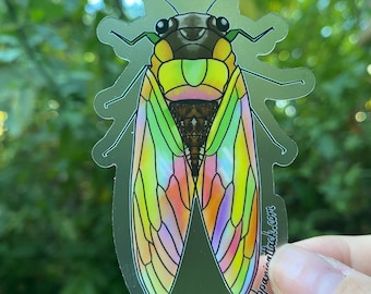 Cicada Transparent Vinyl Sticker
