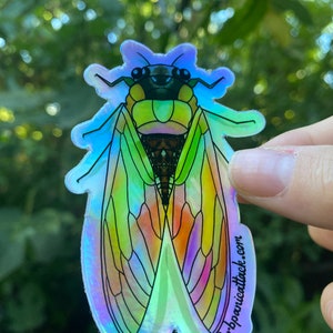 Cicada Holographic Vinyl Sticker