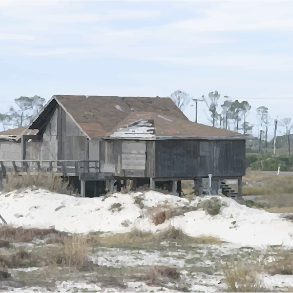 Resilience Amidst Ruin: Life After Katrina Artist Photograph - Gulf Shores Alabama, Coastal Home, Nostalgic Wall Art, Abandoned Home Piece