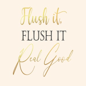 Puede incluir: Caligraf&iacute;a dorada en l&aacute;mina sobre un fondo rosa claro que dice "Flush it. FLUSH IT Real Good".