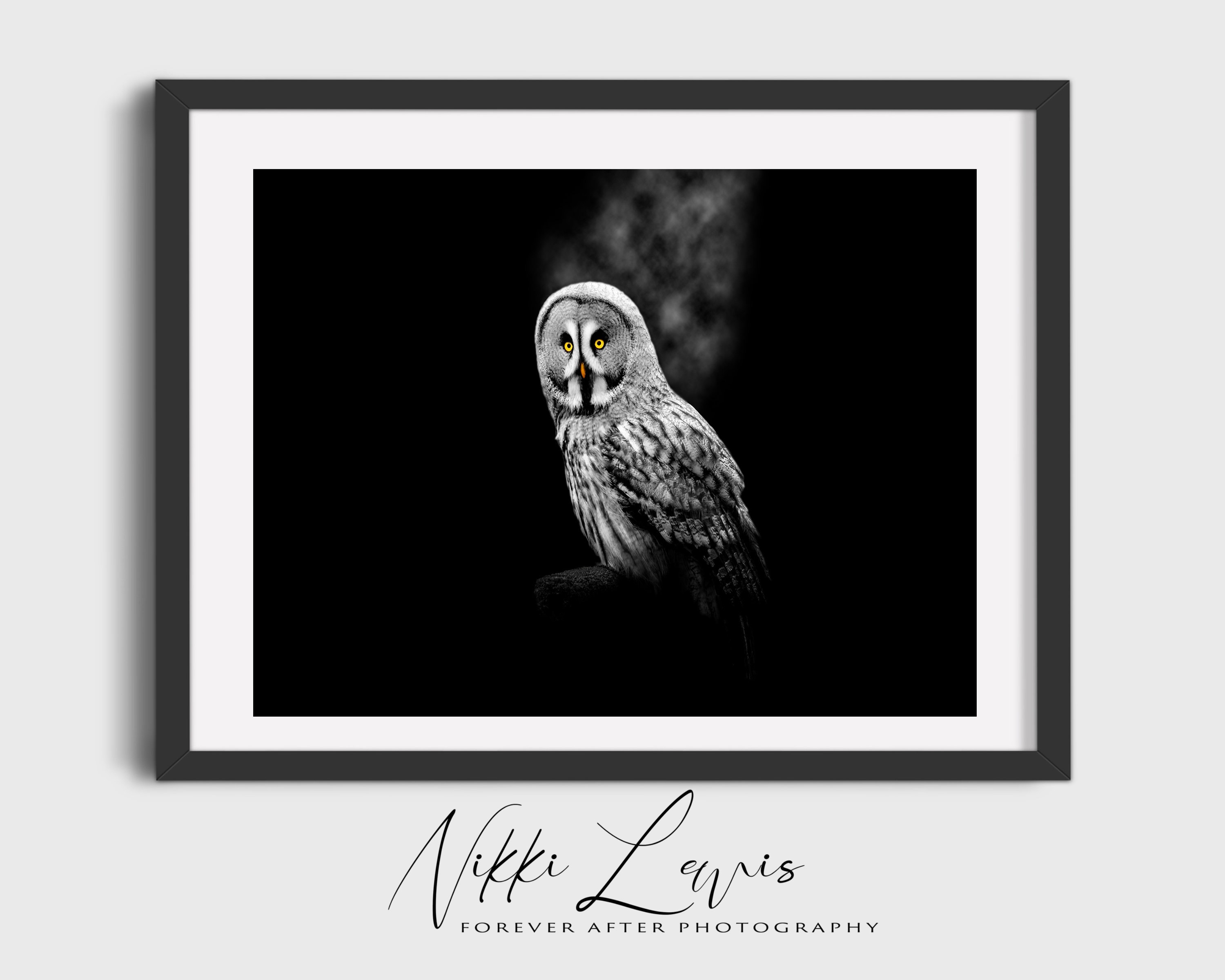 Black and White Owl Art Print: Fine Art Photography