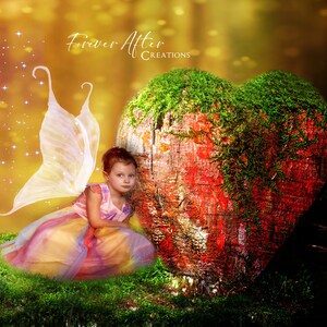 Magical Fairy Forest with Wooden Heart