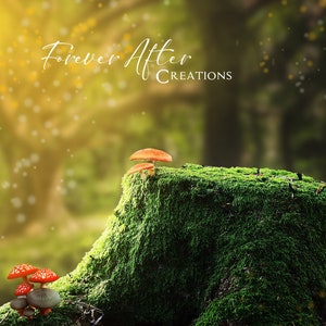 Fairy Tree Stump Digital Background / Backdrop