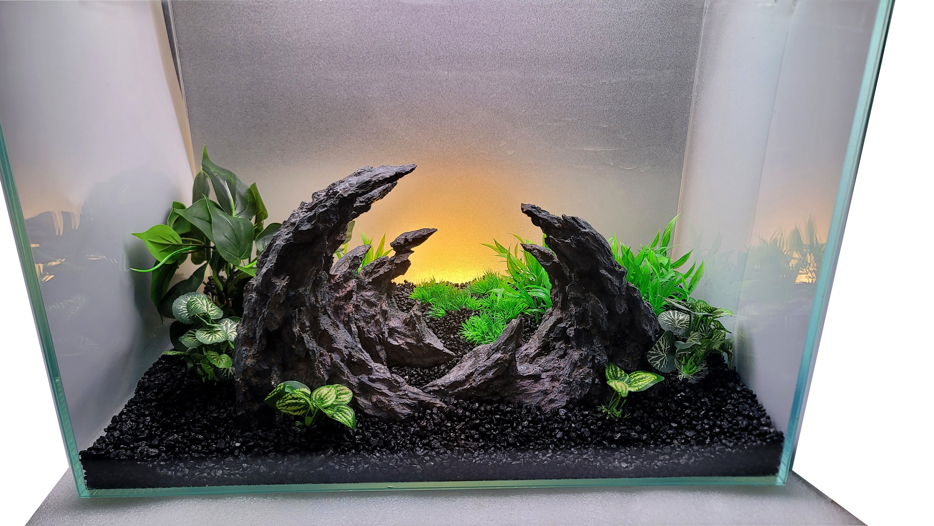 DIY Ecosphere Kit Dragon Stone Aquatic Ecosystem 