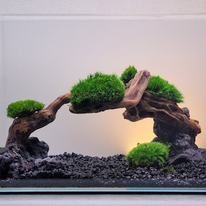 Nano tank Aquascape driftwood on Rock aquarium decor handmade for aquatic live plants Planted Fish Tank Ornament