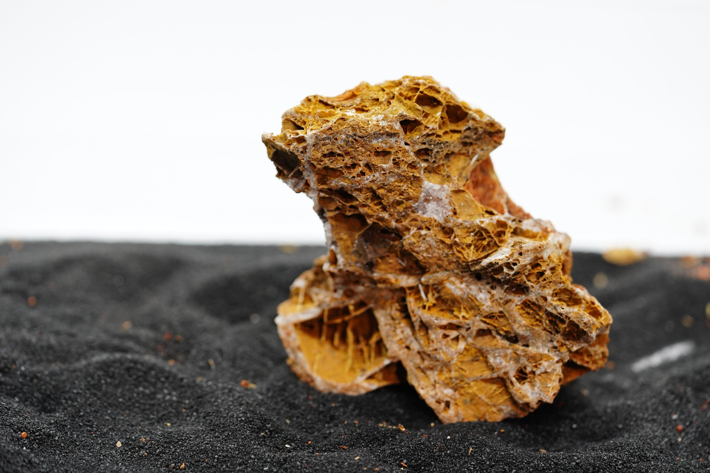 Waterleaf Stone Aquarium Maple Leaf Stone Aquascape Natural Stone - Etsy