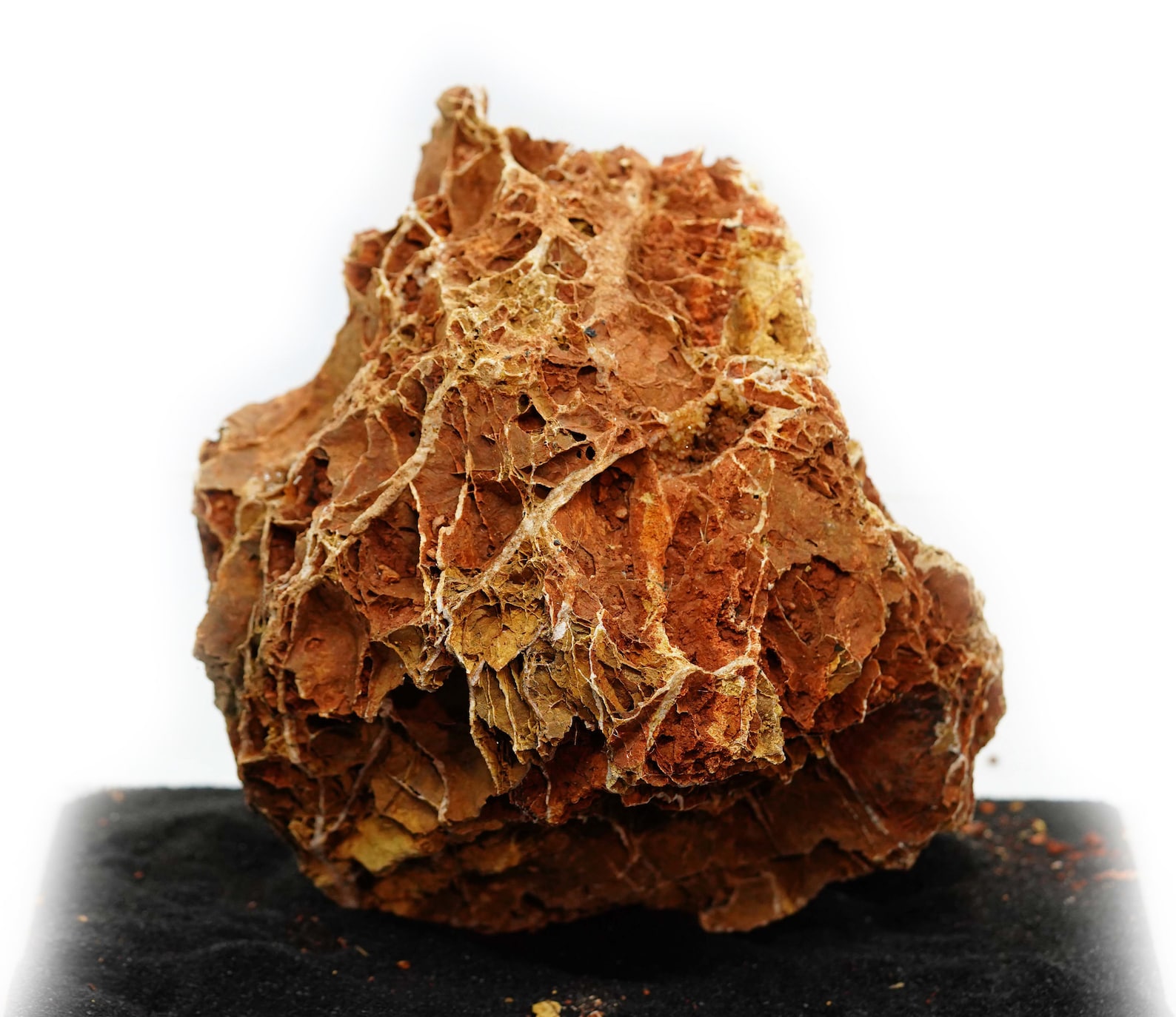 Waterleaf Stone Aquarium Maple Leaf Stone Aquascape Natural Stone - Etsy