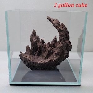 2-5 gallon Aquascaping decor lune shape  for moss planted tank