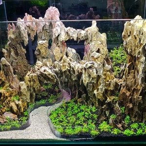 Aquarium Ohko Dragon Stones image 8