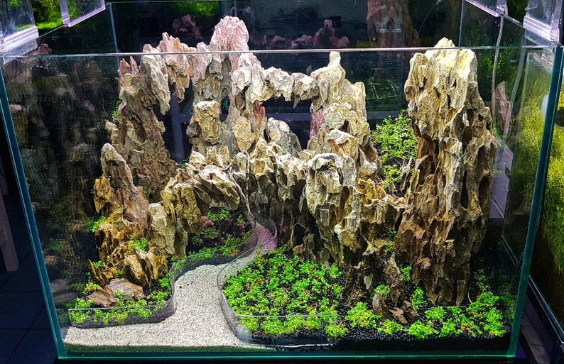 Aquarium Ohko Dragon Stones image 8