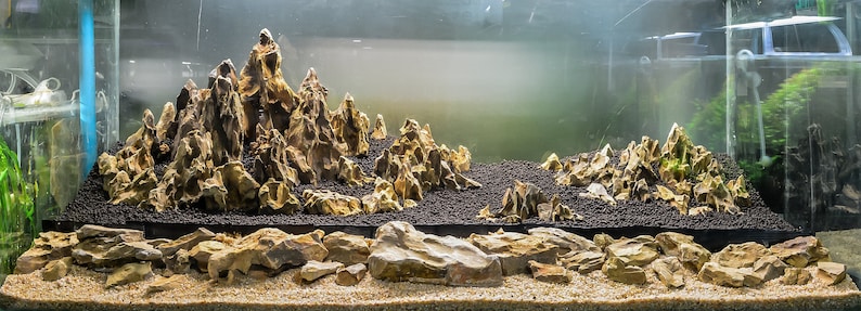 Aquarium Ohko Dragon Stones image 7