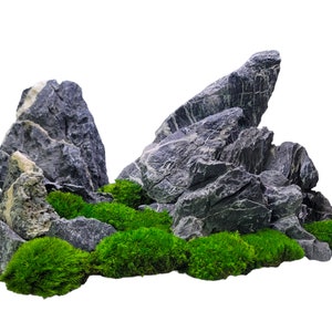 Japanese Black Seiryu Stone for Aquascapers Aquarium Planted Fish Tank Natural Stone