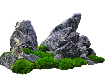 Japanese Black Seiryu Stone for Aquascapers Aquarium Planted Fish Tank Natural Stone