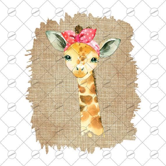 Baby Jirafa Clipart Bebe Animal Png Acuarela Safari Animal Etsy Baby Jirafa Clipart Bebe Animal Png Acuarela Safari Animal Etsy