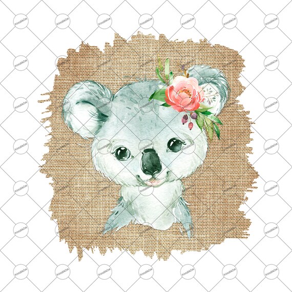 Bebe Koala Clipart Acuarela Bebe Animal Png Safari Animal Etsy