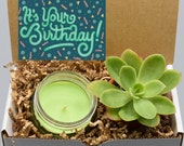 Gift box for friend, Friendship gift, birthday gift box, birthday box for friend, succulent and candle gift box, candle and succulent box