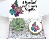 Sympathy Gift - Live Succulent Gift Box - Sorry For Your Loss - A Beautiful Soul Is Never Forgotten - FREE SHIPPING - Natural Succulents