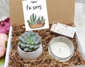 Apology Gift Etsy Apology Gift Etsy
