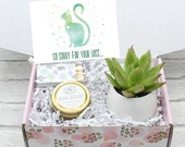 Pet Sympathy Gift - Loss of Cat - Cat Loss Sympathy Gift - Sorry For Your Loss - Pet Sympathy Gift - Pet Memorial - Gift Box (XFE3)