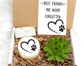 Pet Sympathy Gift - Pet Loss Gift - Custom Pet Sympathy Gift - Pet Memorial - Sympathy gift box - sorry gift box - live succulent Gift Box