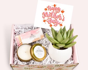 Mother’s Day Gifts 2023 - Box Succulent Gift bo - Send a Gift Customize Gift For Her First Time Mom - Step Mom Gift Happy Mothers day (XFO8)