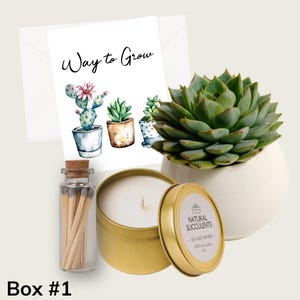 May include: A gift box with a succulent plant, a candle, matches in a glass jar, and a card that says "Way to Grow".