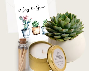 May include: A gift box with a succulent plant, a candle, matches in a glass jar, and a card that says "Way to Grow".