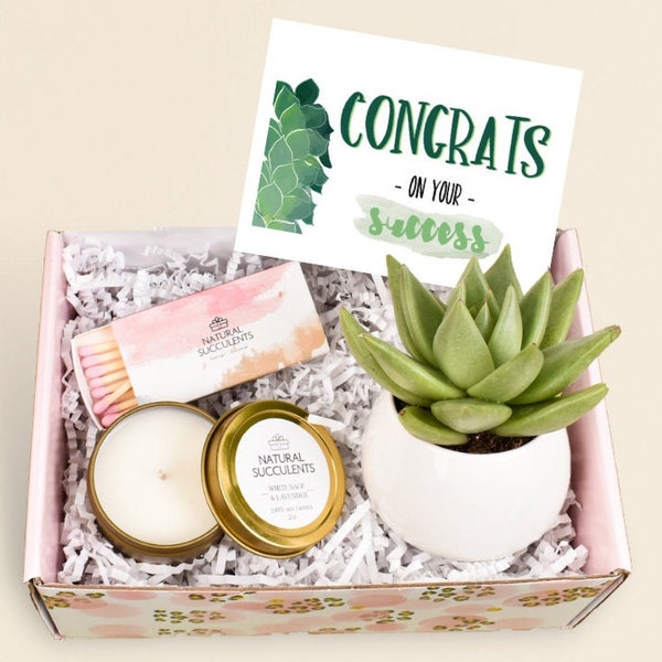 Congratulations Gift - Congrats On Your Success - New Job gift - New Job gift - Achievement Gift - Care package - Succulent Gift (XFI7)