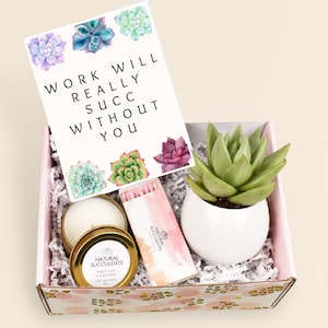 Coworker Gift Box, Work Will Really Succ Without You, Coworker Leaving Gift, Going Away Present, Candle Box, Corporate gifts XFN1 image 1