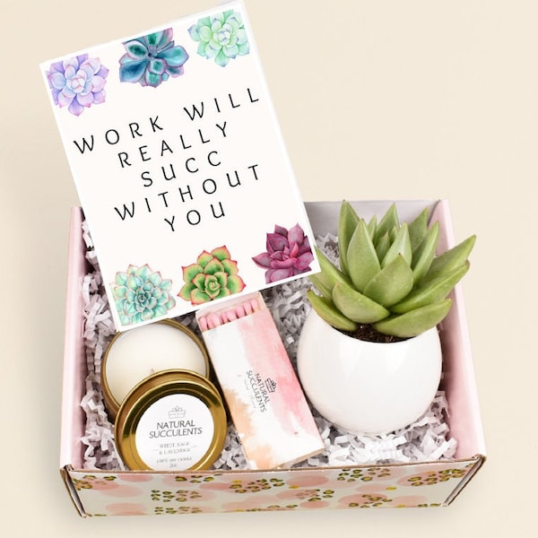 Coworker Gift Box, Work Will Really Succ Without You, Coworker Leaving Gift, Going Away Present, Candle Box,  Corporate gifts (XFN1)