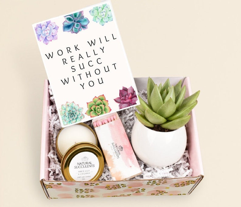 Coworker Gift Box, Work Will Really Succ Without You, Coworker Leaving Gift, Going Away Present, Candle Box, Corporate gifts XFN1 image 1