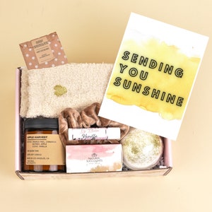Natural Succulents Get Well Soon Gift Box - Care Package - Recovery Gift - Surgery Gift - Tough Time Gift - Hospital Gift (XAB3)