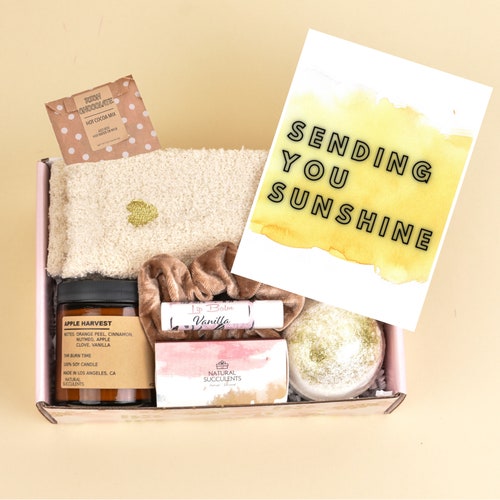 Natural Succulents Get Well Soon Gift Box Care Package - Etsy
